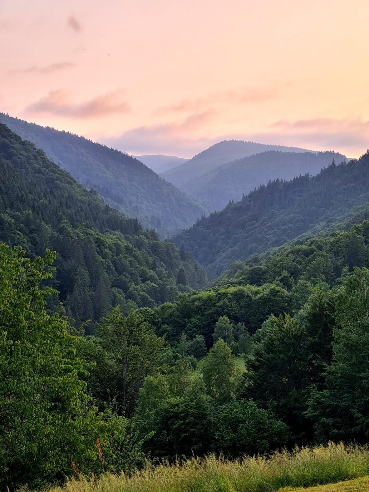 Apuseni Holidays Rachitele Exteriér fotografie